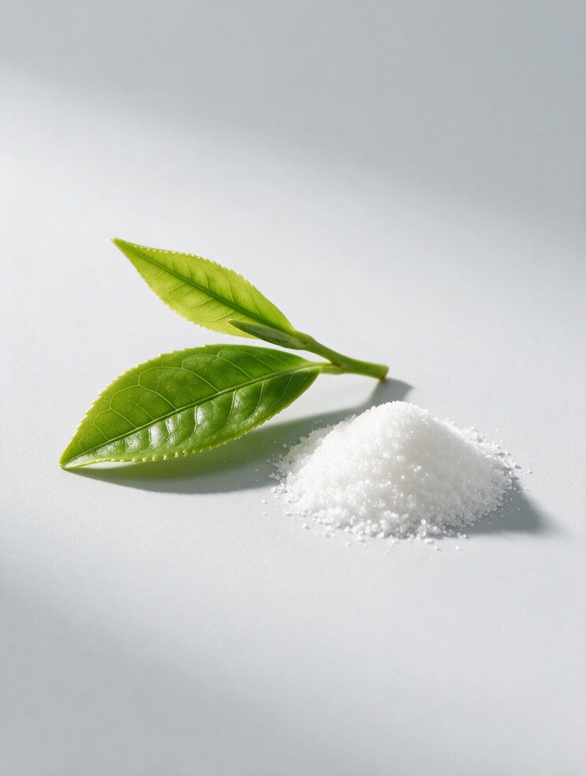 L-Theanine